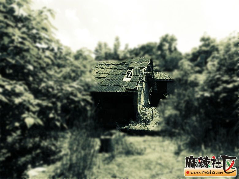 探秘简阳福田乡刘存厚的祖坟与清代时期的老房