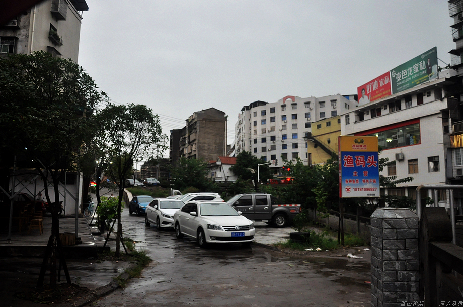 DSC_0031.jpg
