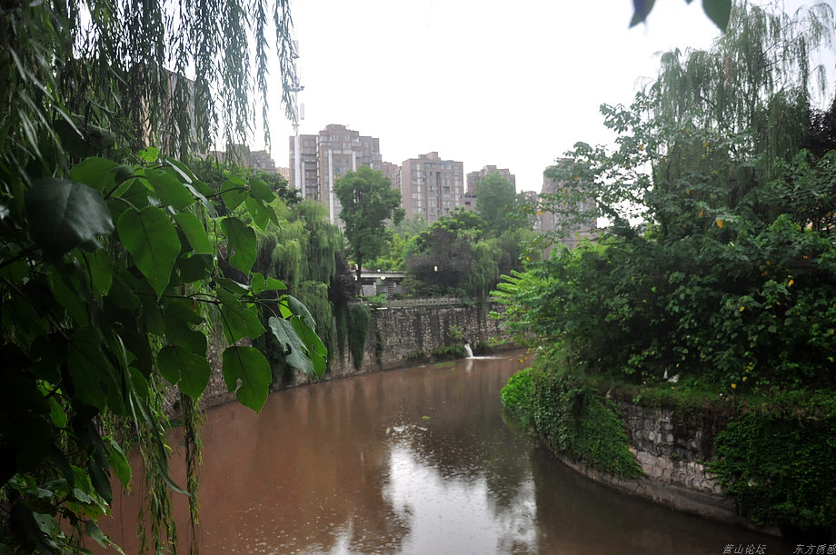 DSC_0048.jpg