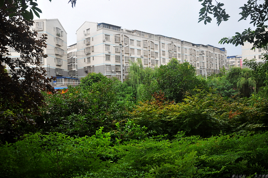 DSC_0080.jpg