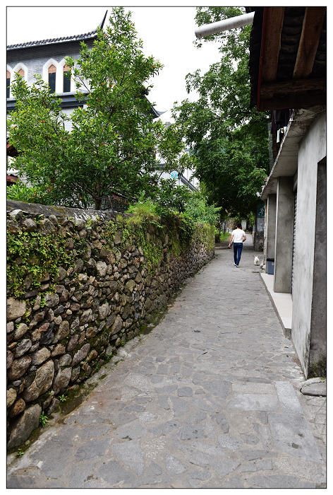 DSC_3413.jpg