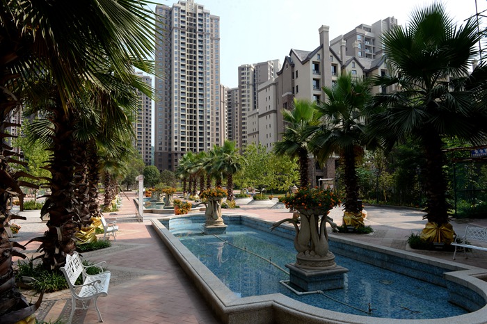 蓬安美图欣赏之紫苑枫丹白露!