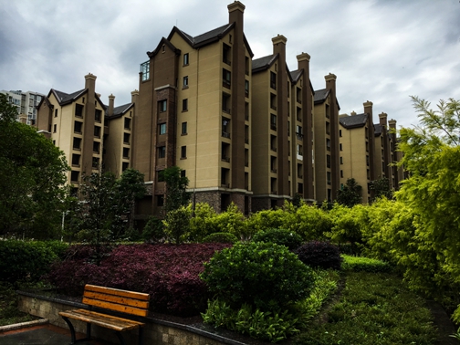 蓬安美图欣赏之紫苑枫丹白露!