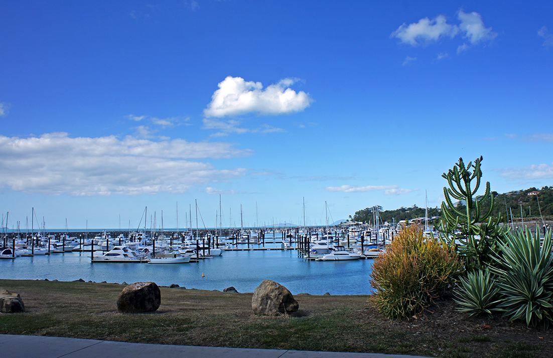 DSC02231z.jpg