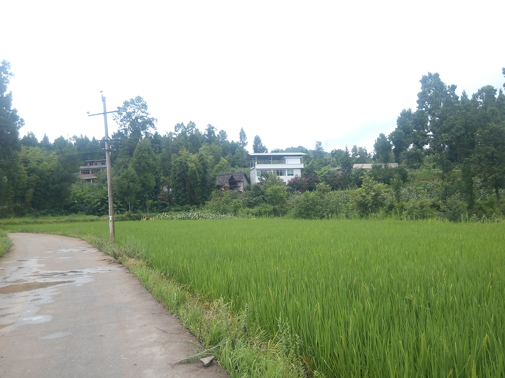 P60810-094835.jpg
