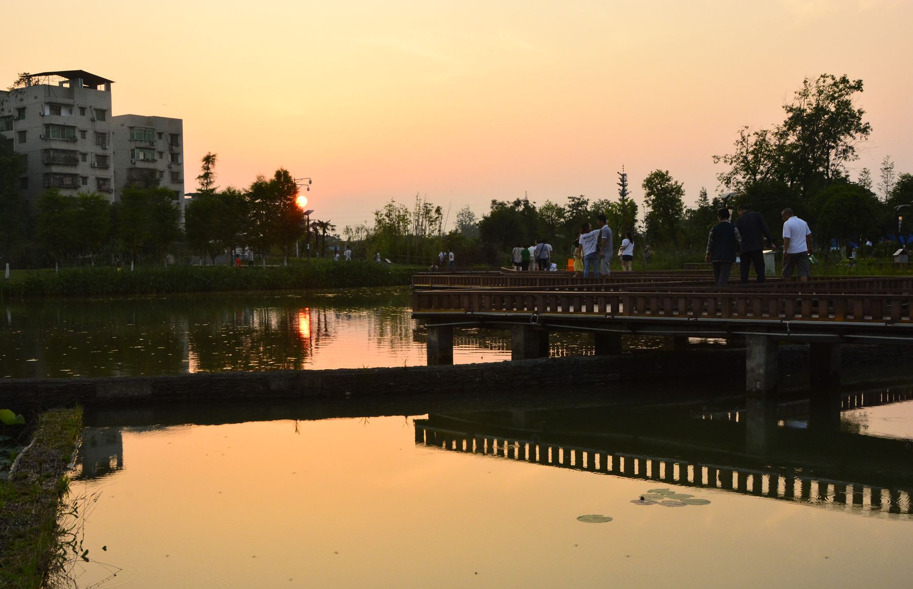 _DSC5266_.jpg