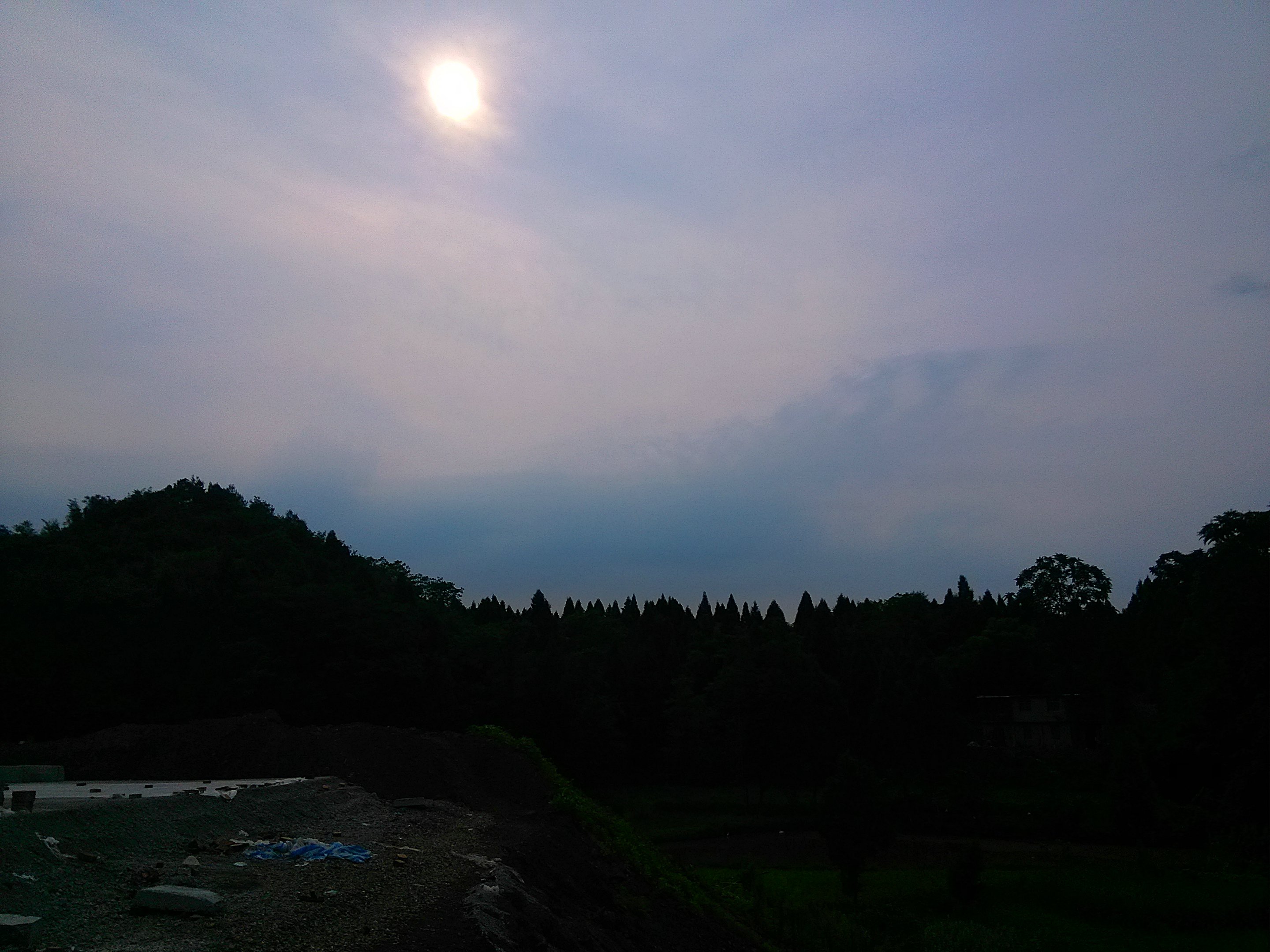 IMG_20160726_170146.jpg