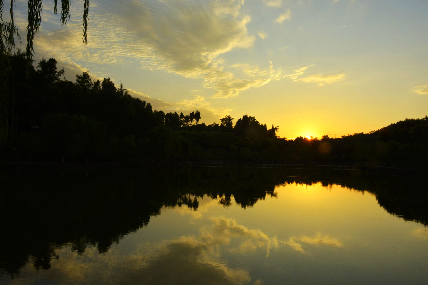 _BCD8430_.jpg