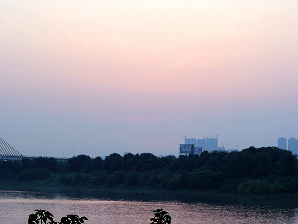 IMG_9800_.jpg