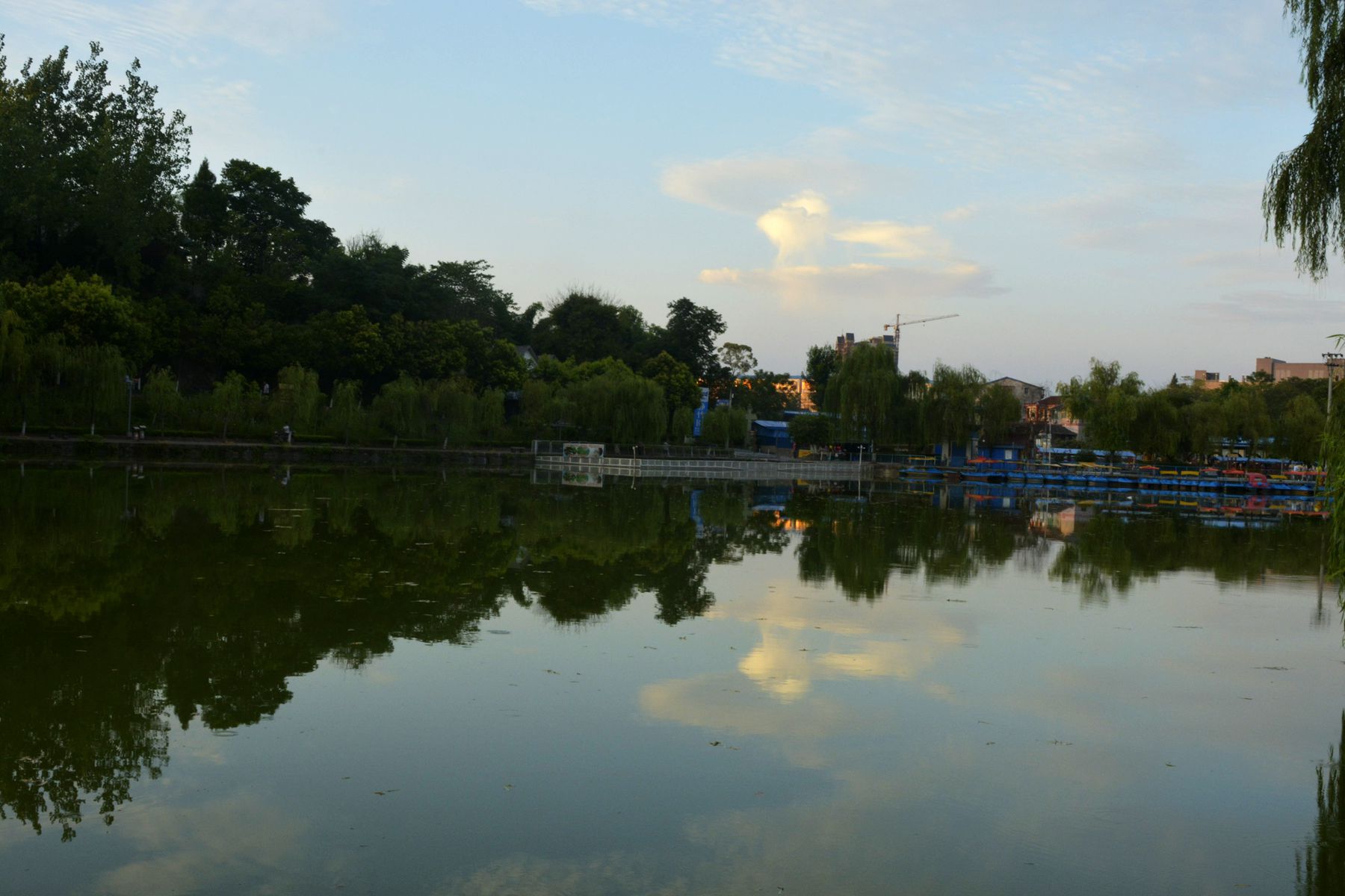 _BCD8435_.jpg