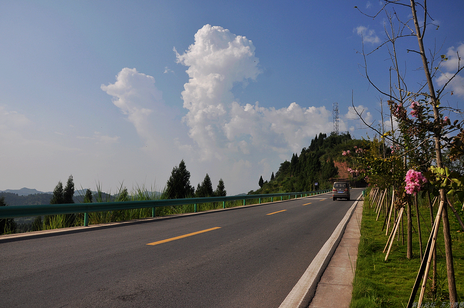 DSC_0014.jpg