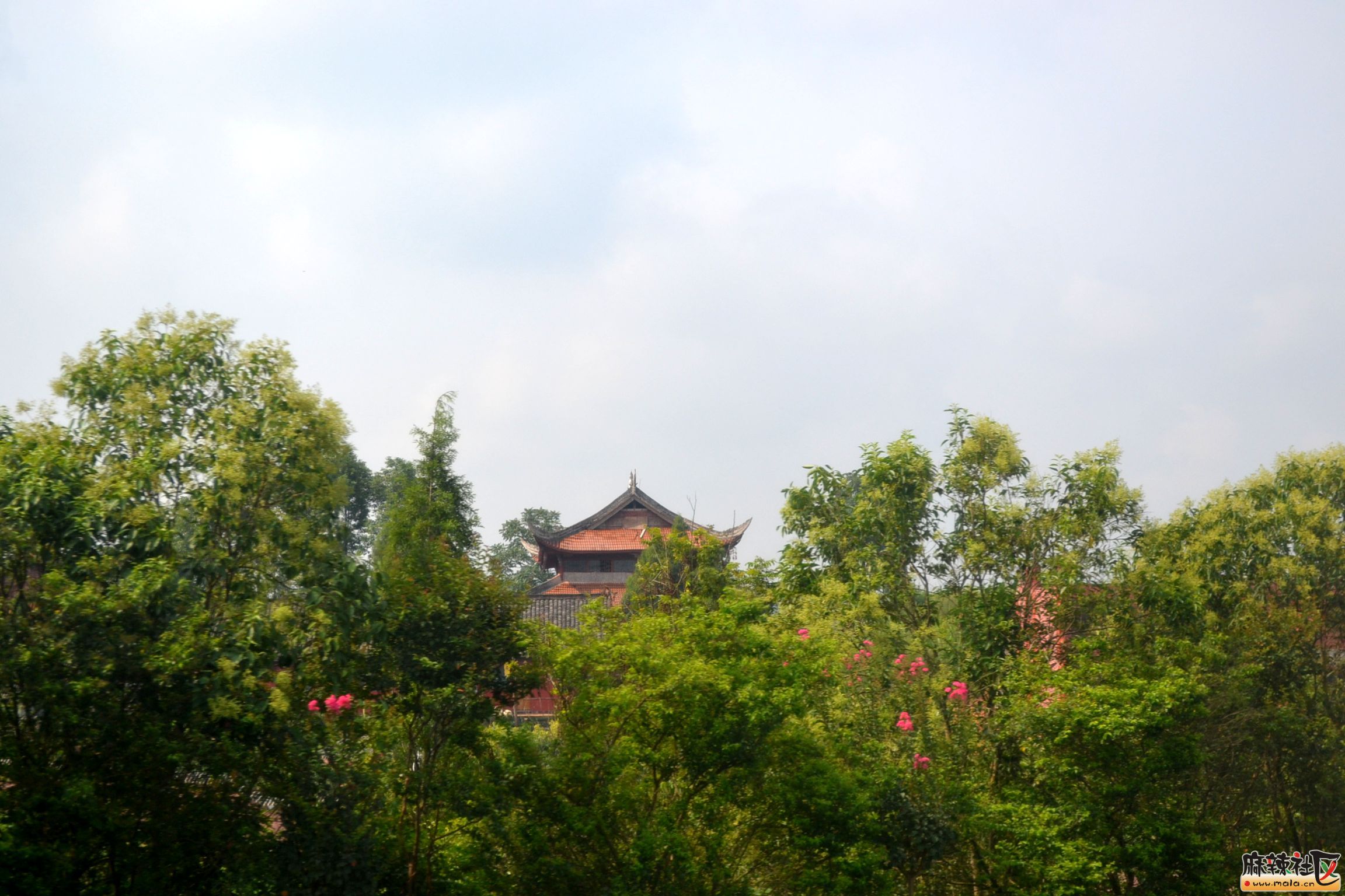 DSC_9383.JPG