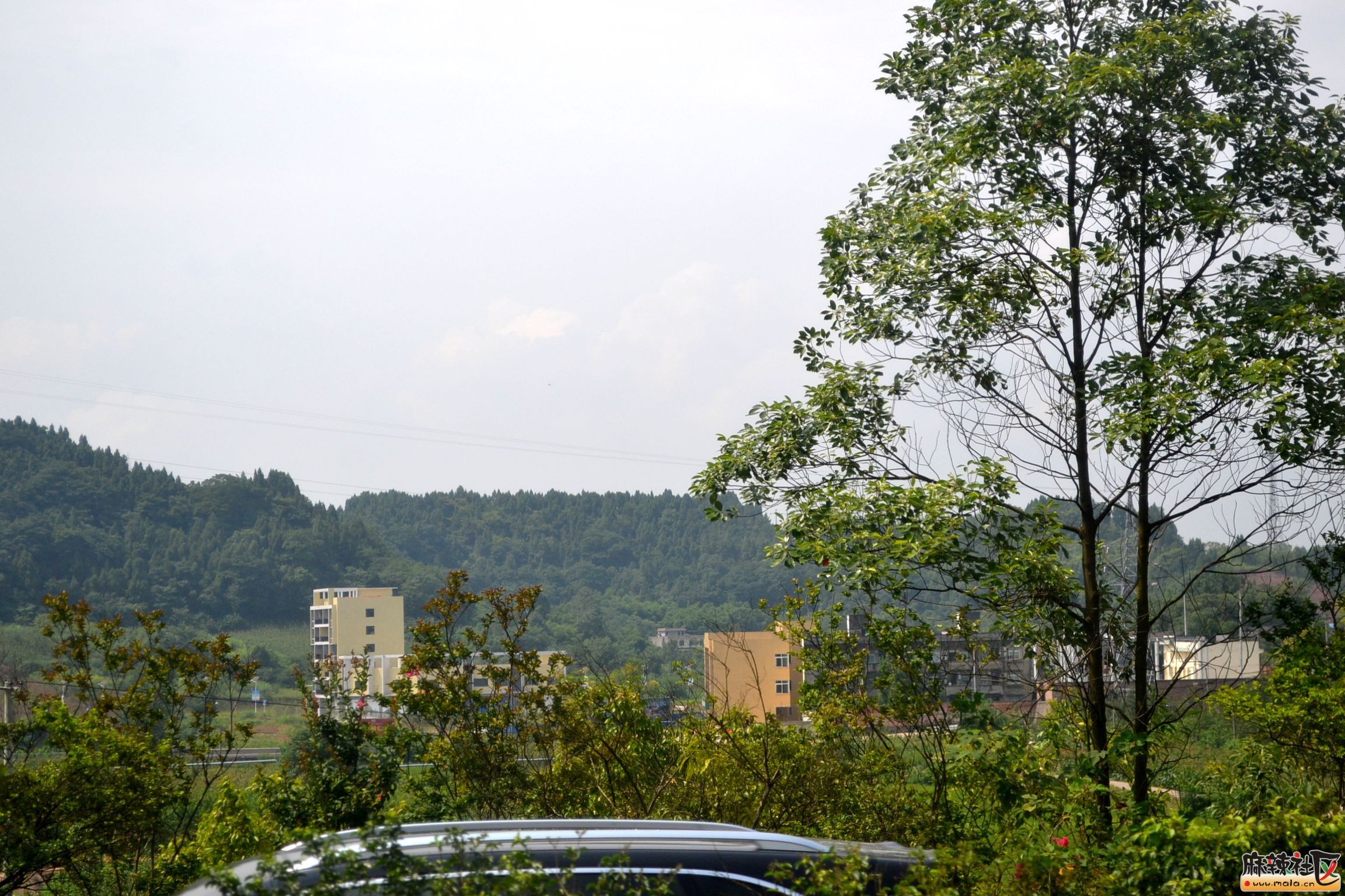 DSC_9409.JPG