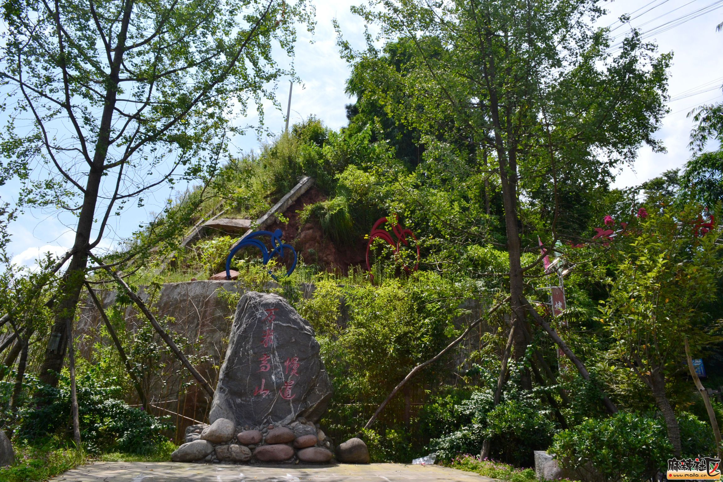 DSC_9471.JPG