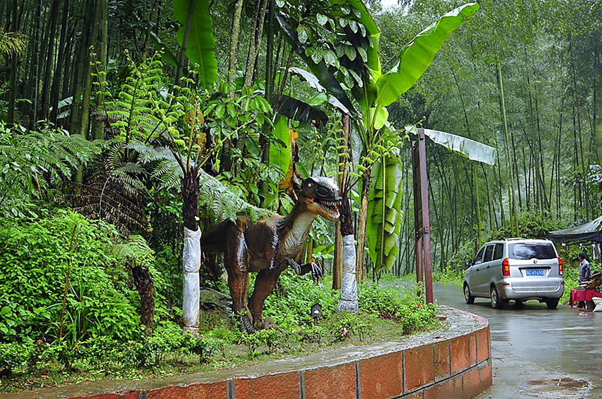 _DSC0010__conew1.jpg