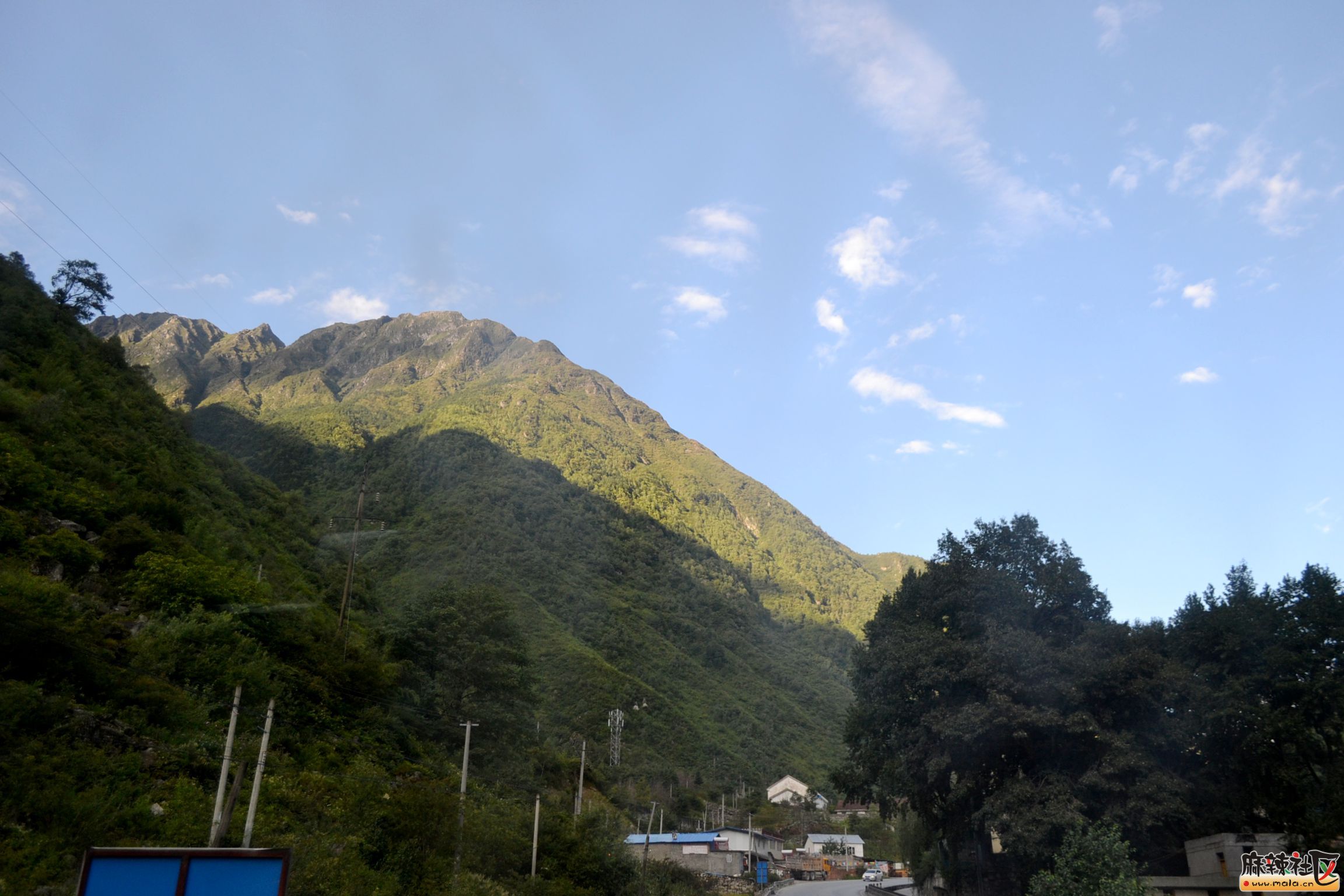 DSC_9972.JPG
