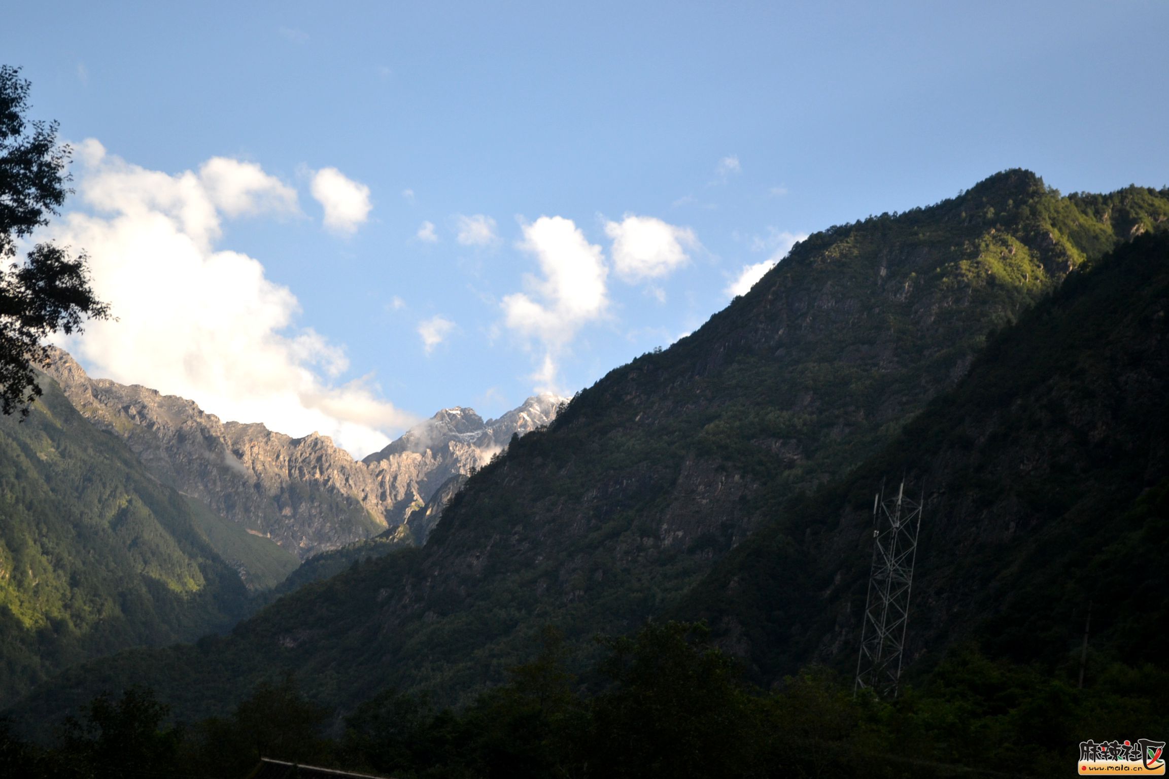 DSC_9991.JPG