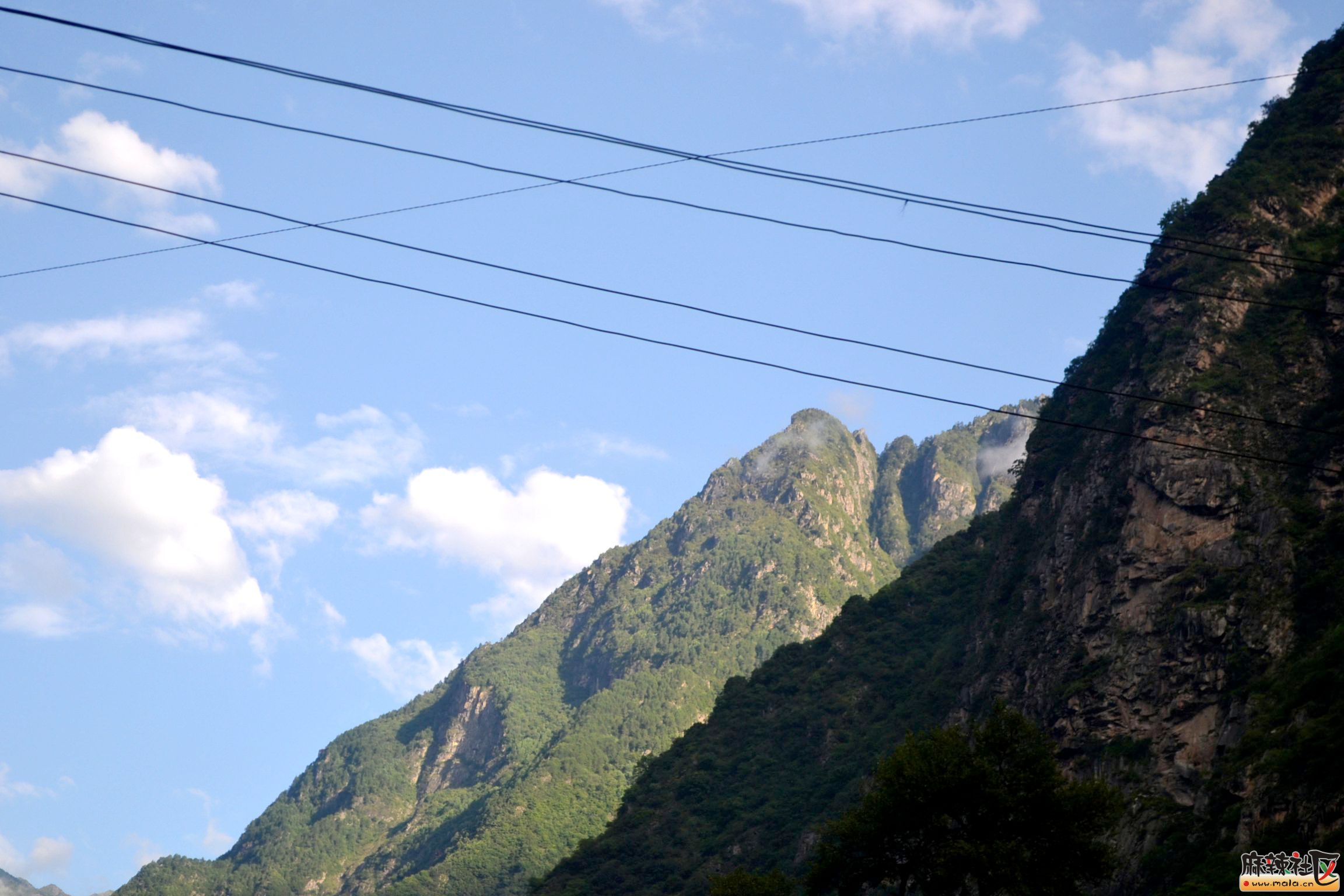 DSC_0004.JPG