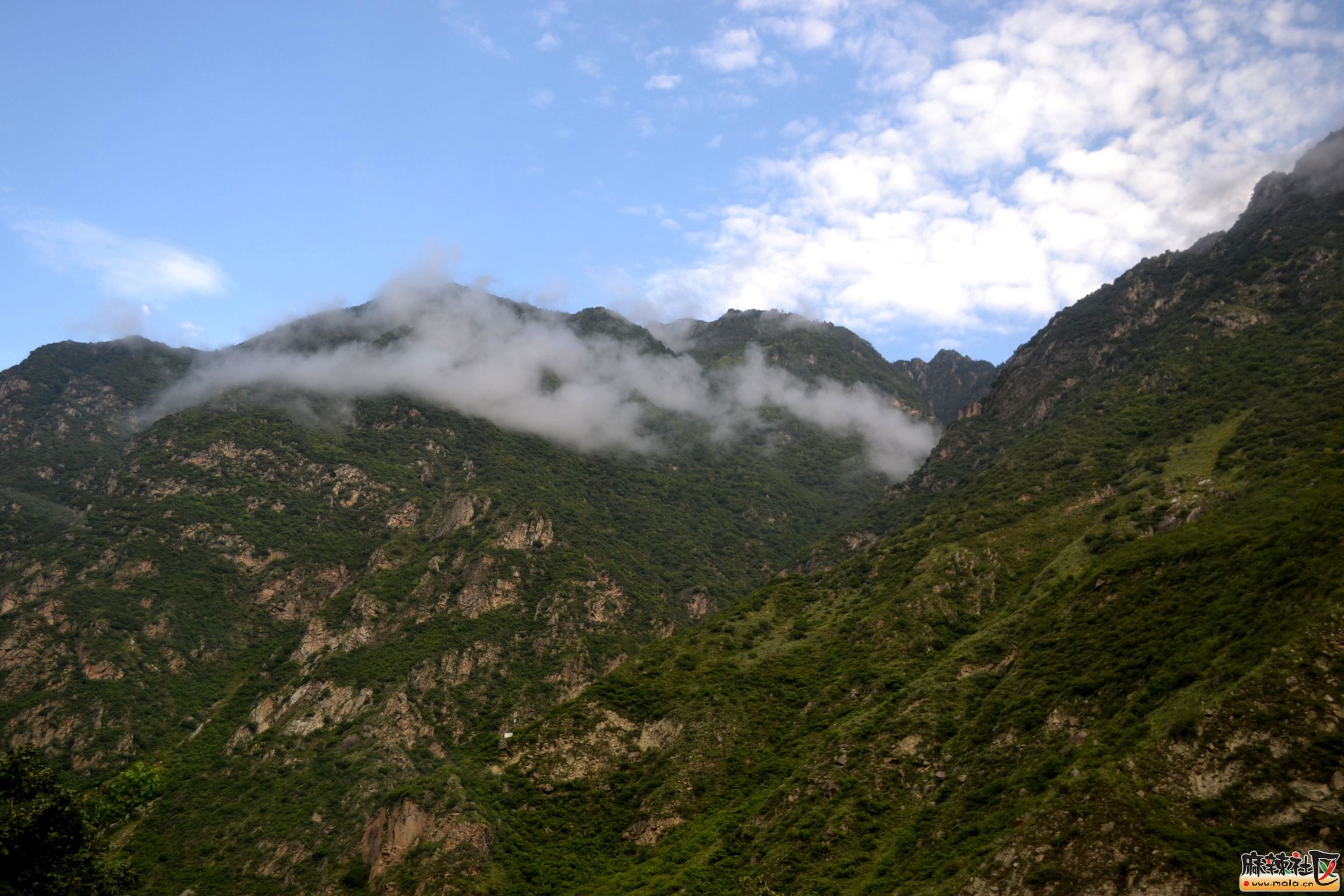 DSC_0016.JPG