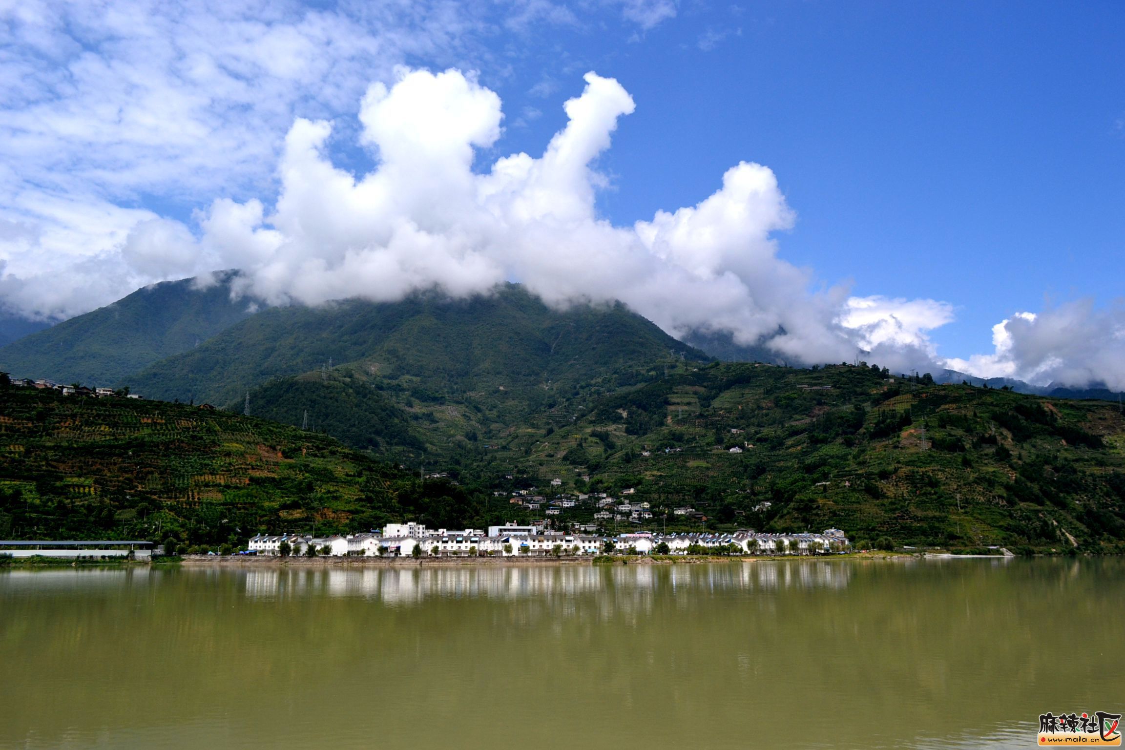 DSC_0159.JPG