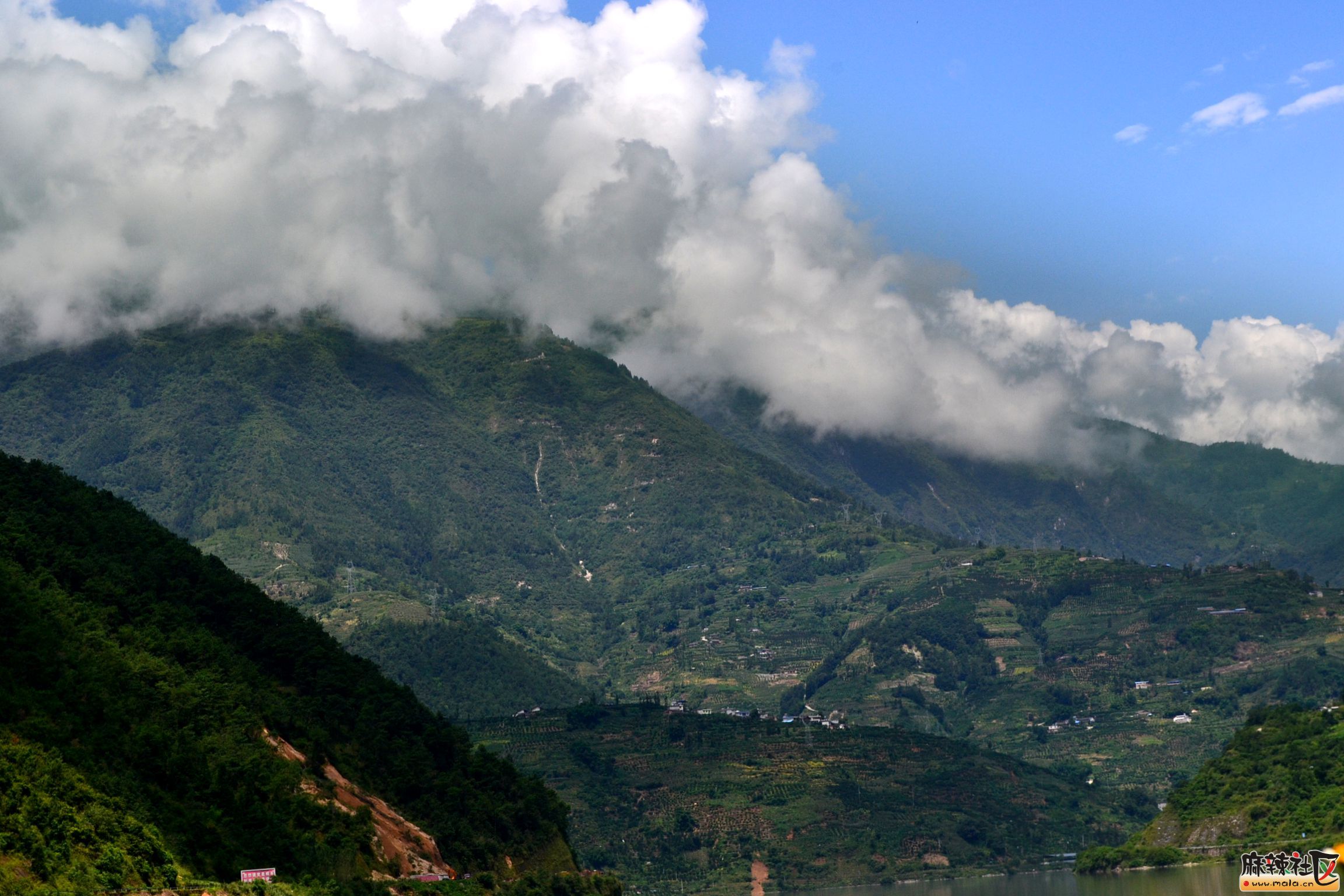 DSC_0167.JPG