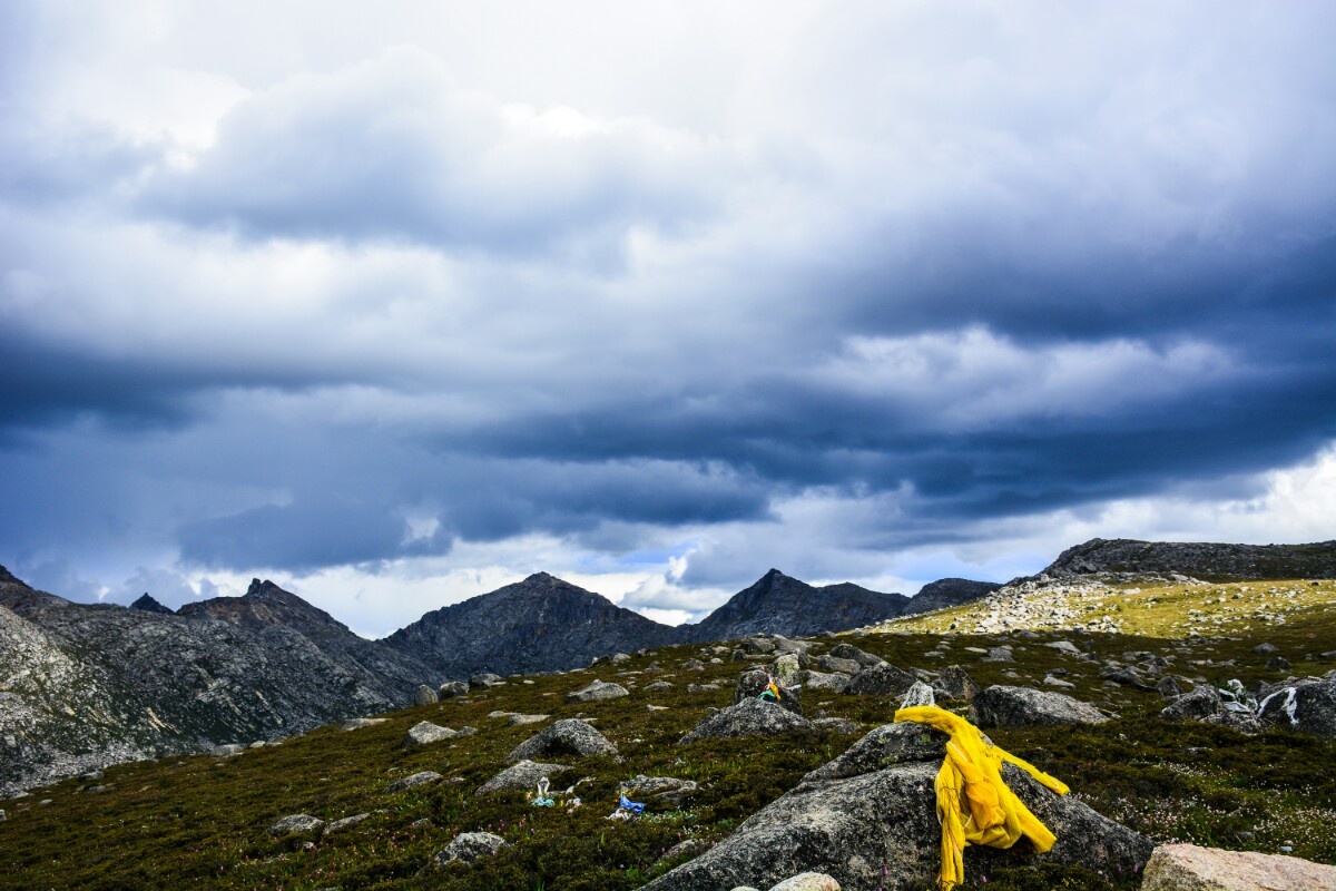 DSC_3169.jpg