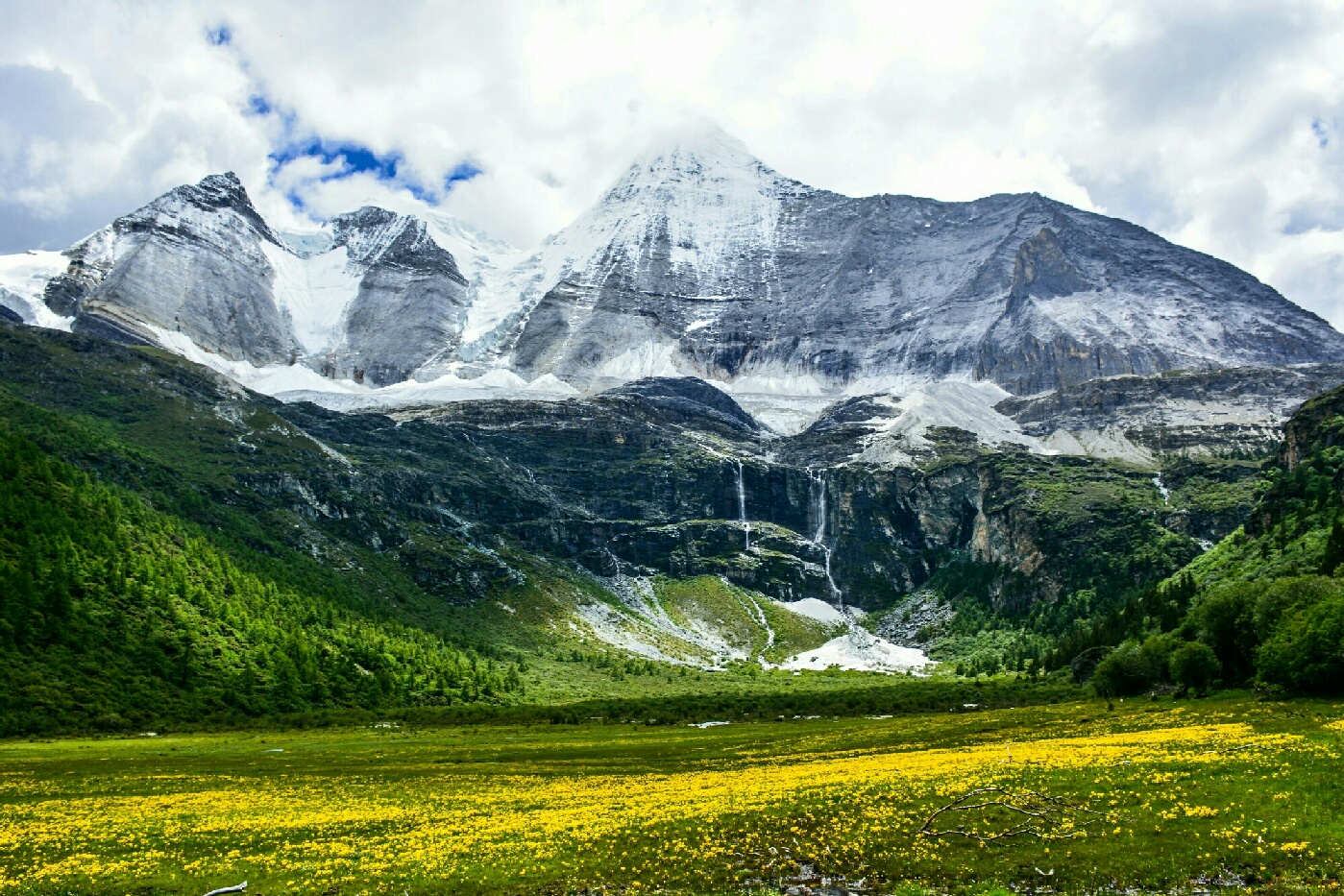 DSC_3353.jpg