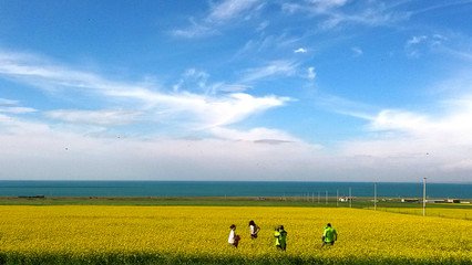 170508uuwsrevs41qrf1qe.jpg