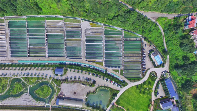 (航拍三文鱼养殖基地 图片/蔚然同学 )