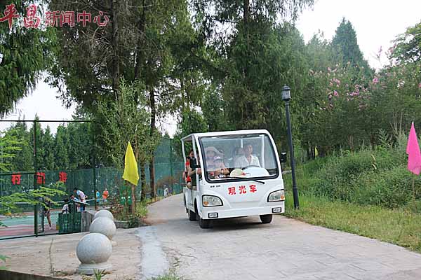 6.JPG