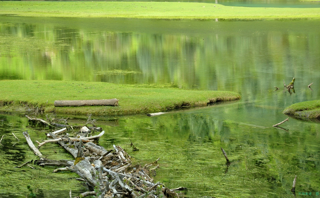 DSC_0160_.jpg