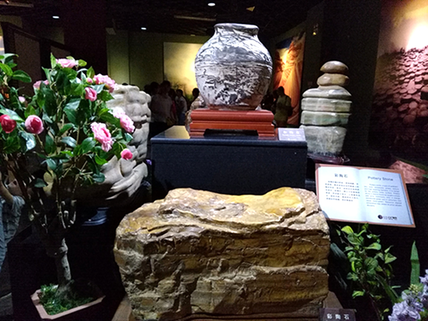 IMG_20160820_094550.jpg