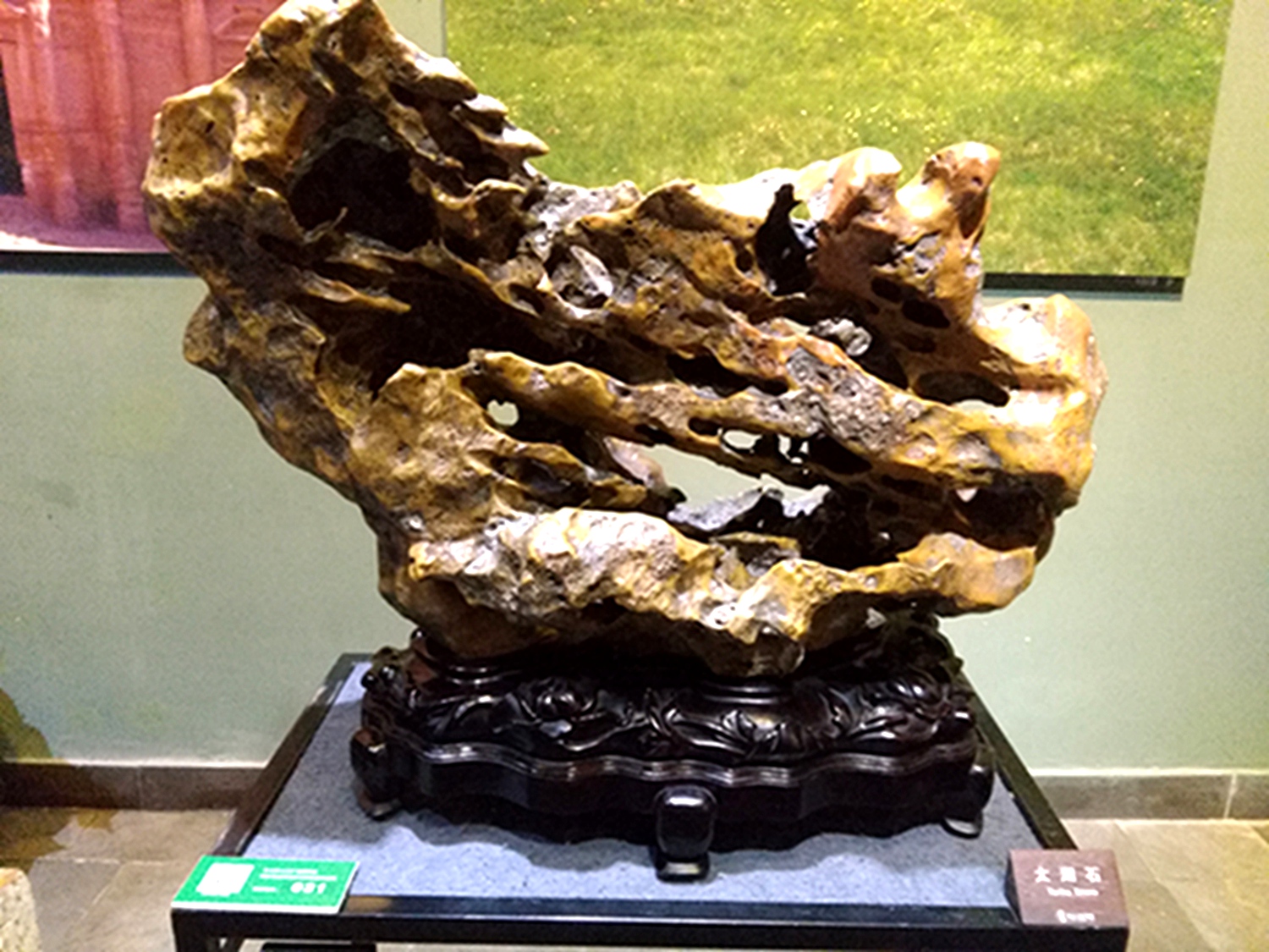 IMG_20160820_095102.jpg