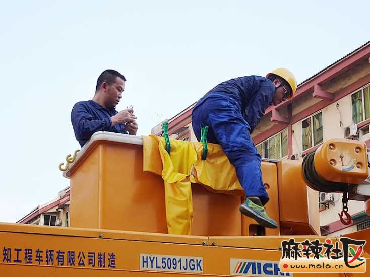 170437b6hirqls5jfsj0fi.jpg
