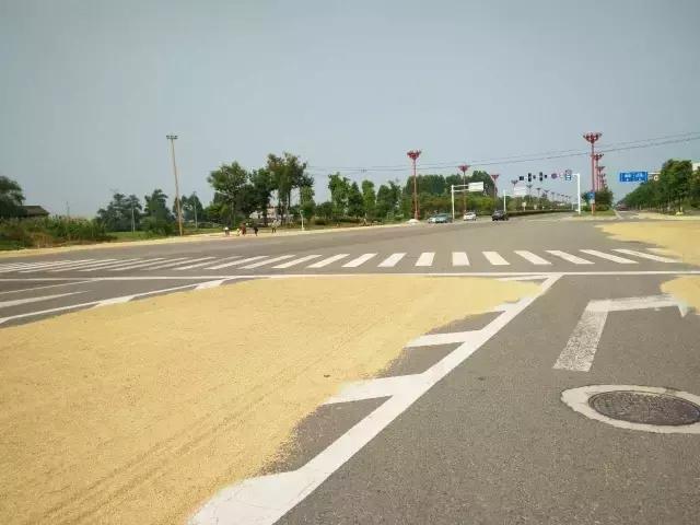 ca30001f87573fba32f.jpg