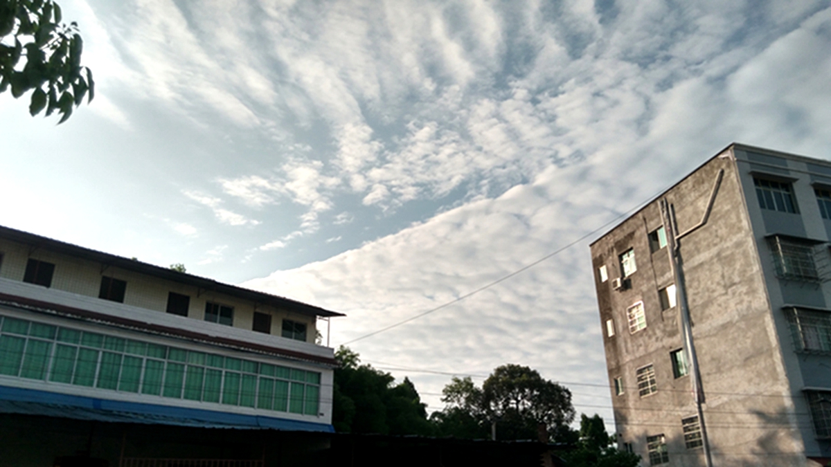 05.jpg