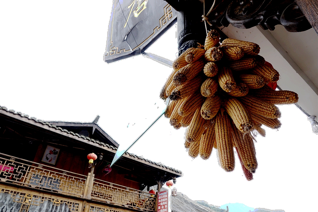 DSC02941_.jpg