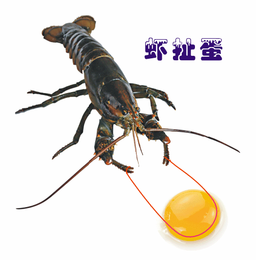 dbe7cda7f939ba9351bf5581b213095b.gif