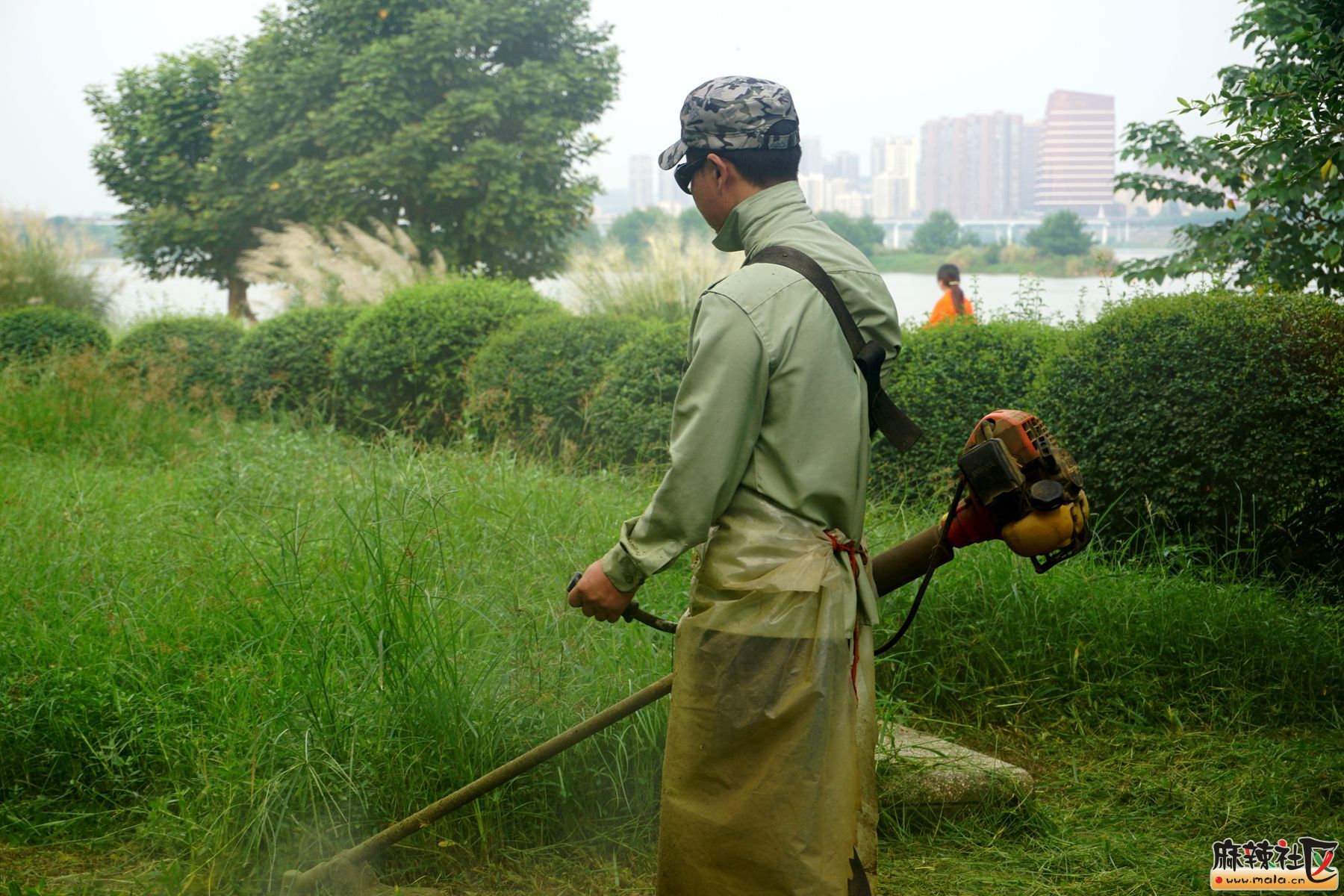 滨江公园环卫工人,雨后割草,灰尘减少,除蚊灭蝇,草地恢复生机