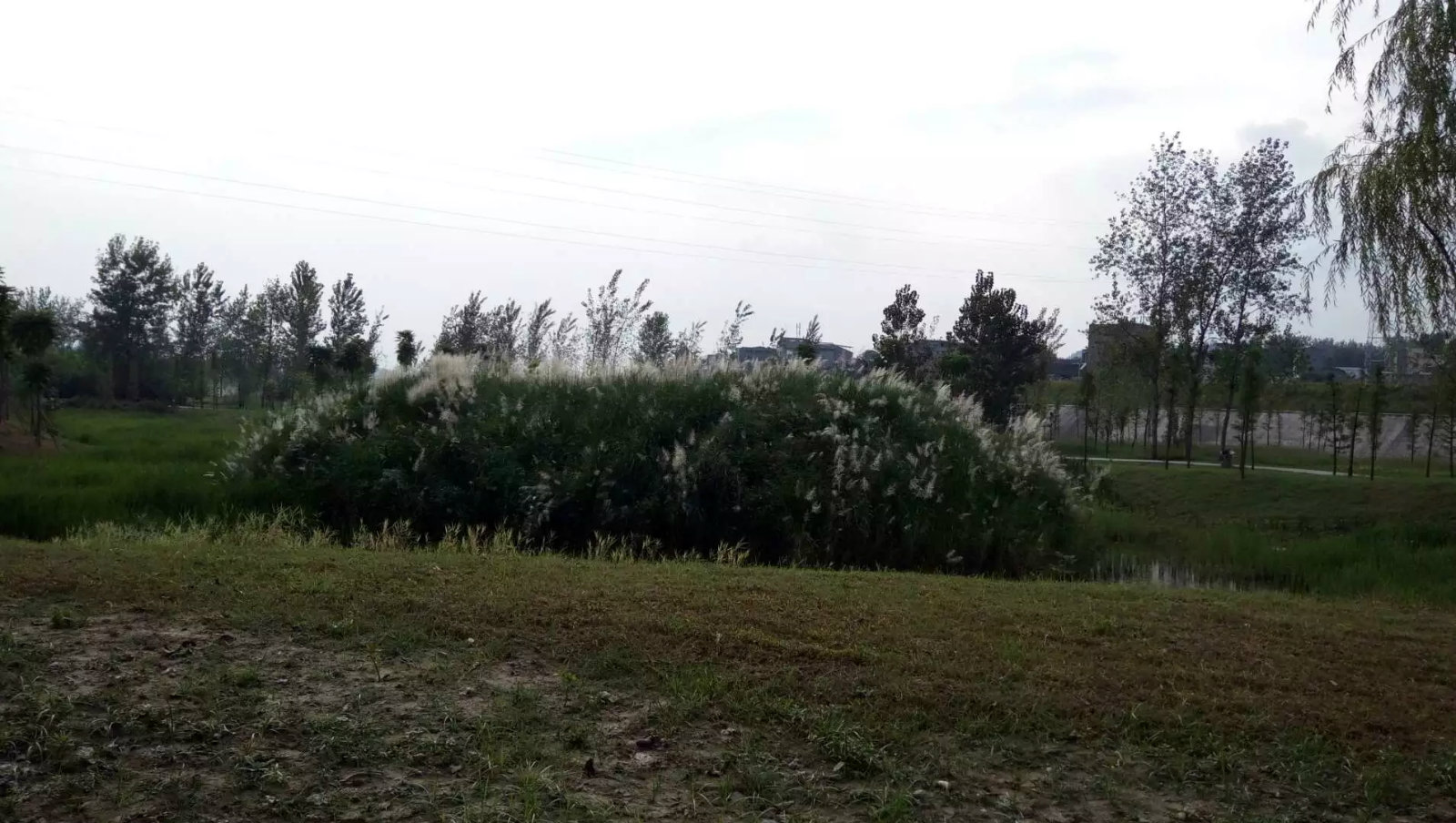 182806mxenvnxnbbo633xo.jpg