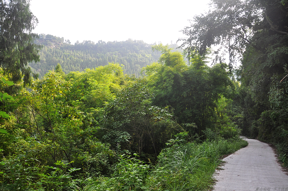 DSC_0017.jpg