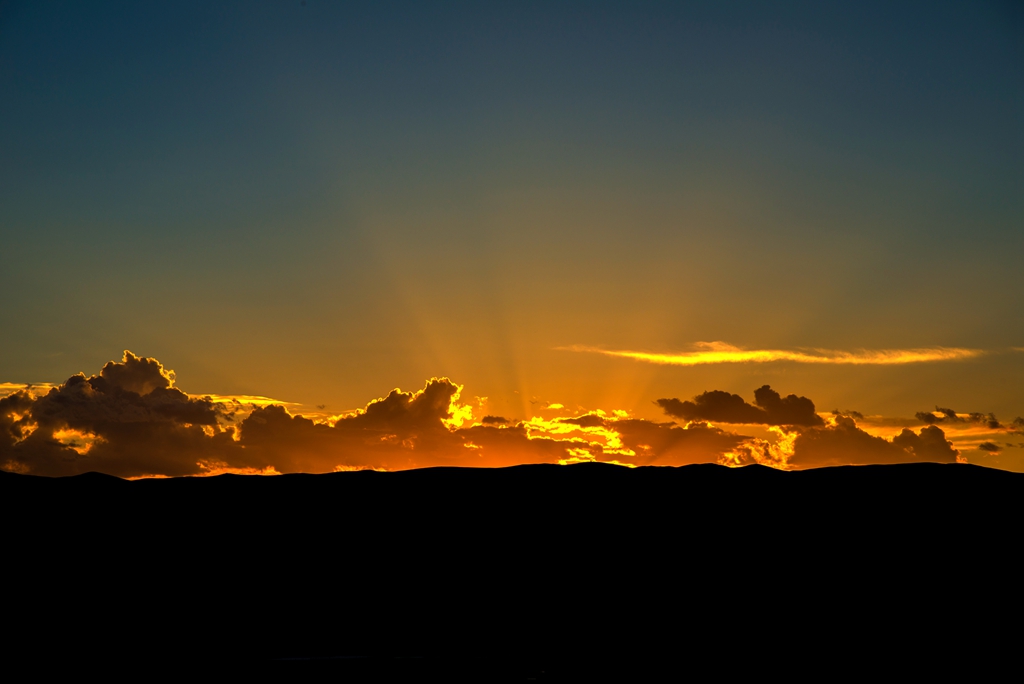 DSC_9954a.jpg