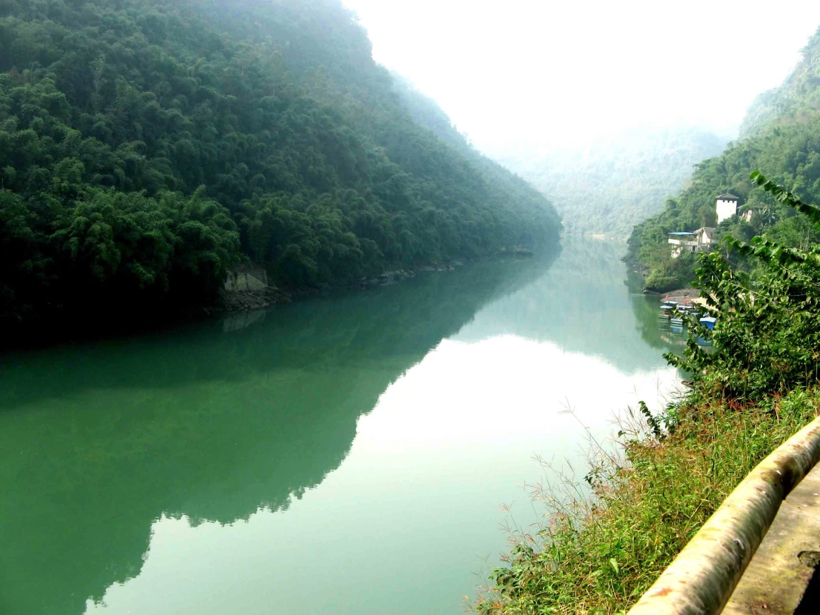 犍为桫椤湖风景区图片