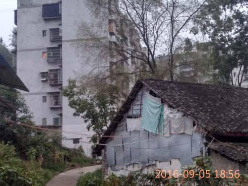 IMG_20160905_185619_HDR.jpg