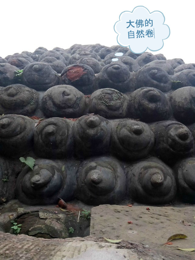 65.jpg