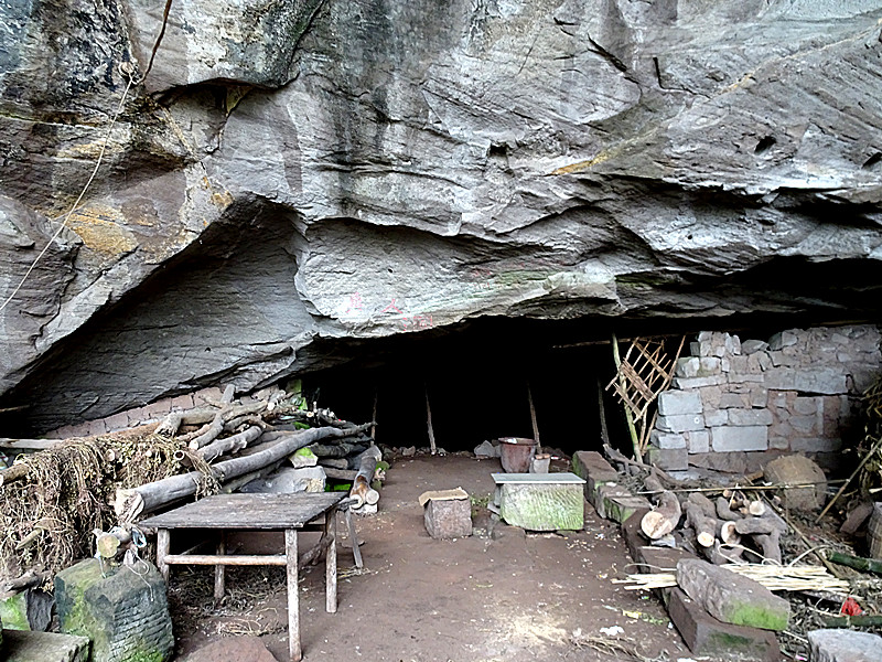 老俩口住山洞近60年 当时因贫困只选择培养了两个大学生-南充论坛