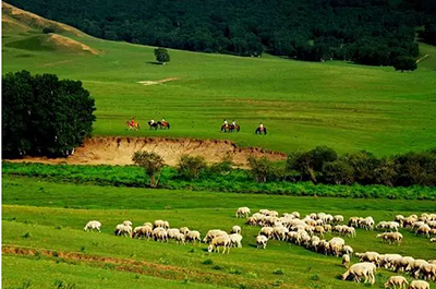 image014.png