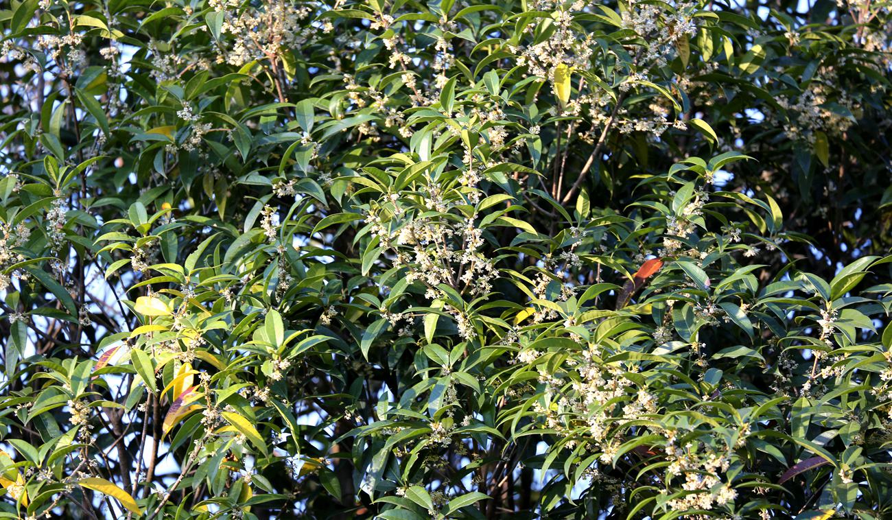S98A1881_.jpg