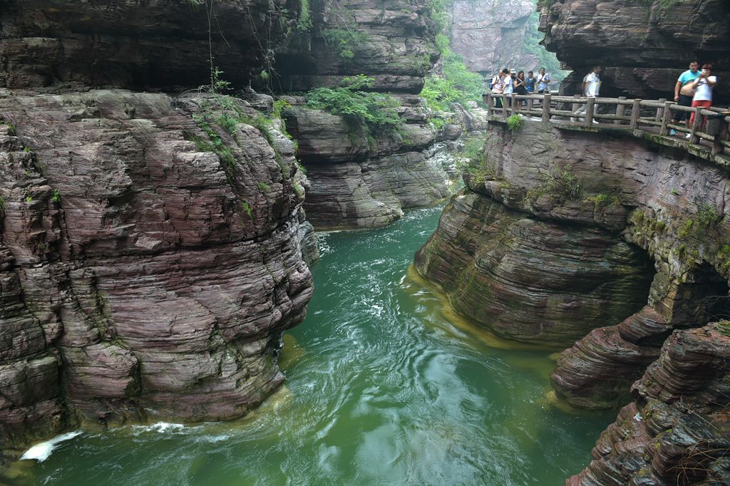 DSC_1784_.jpg
