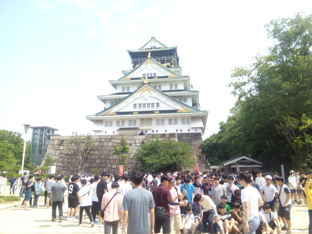 IMG_20160617_085347.jpg
